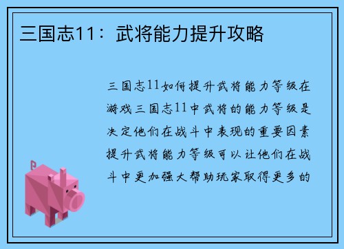 三国志11：武将能力提升攻略